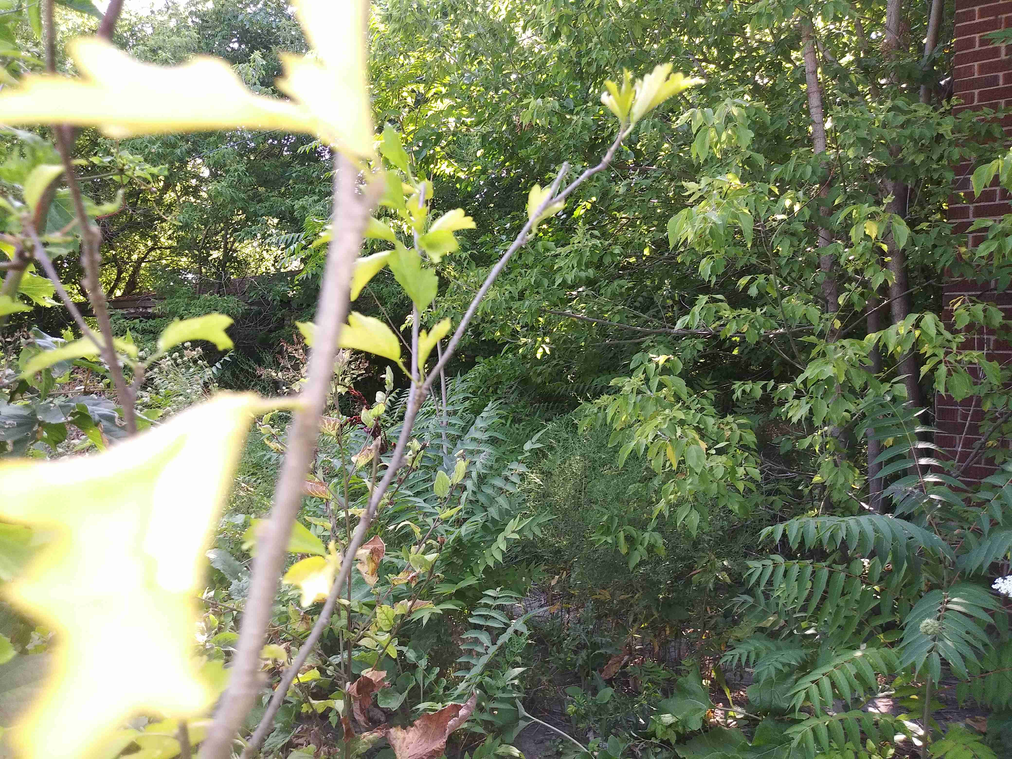 20200822_162011 (1).jpg